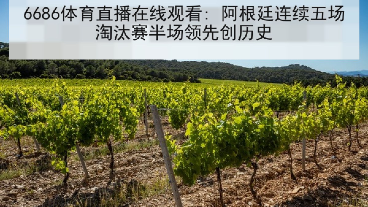 6686体育直播在线观看: 阿根廷连续五场淘汰赛半场领先创历史