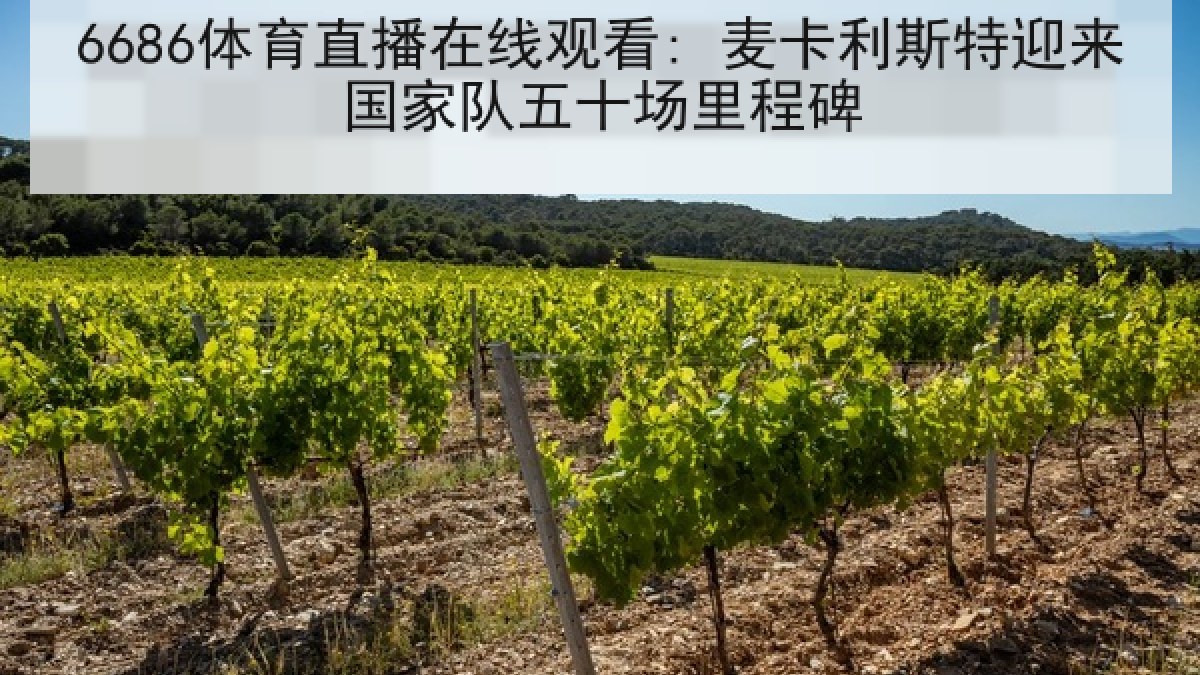 6686体育直播在线观看: 麦卡利斯特迎来国家队五十场里程碑