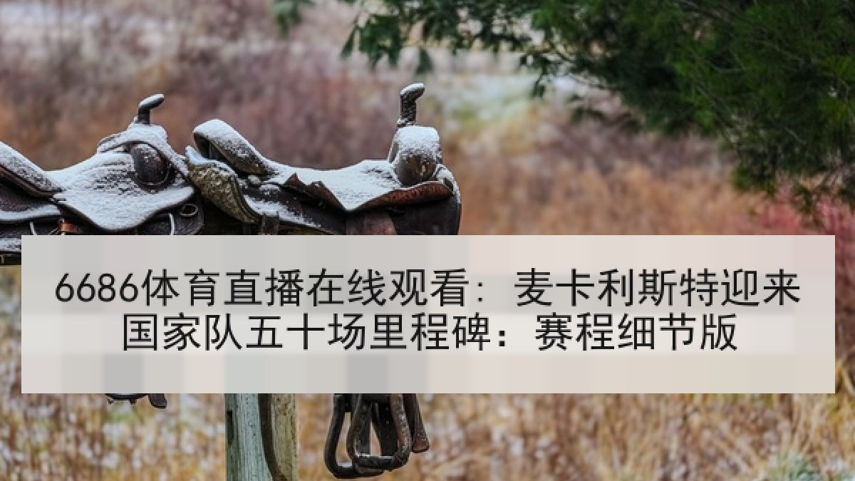 6686体育直播在线观看: 麦卡利斯特迎来国家队五十场里程碑：赛程细节版