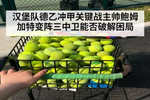 汉堡队德乙冲甲关键战主帅鲍姆加特变阵三中卫能否破解困局